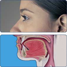 Tumore della lingua trattamento - sezione interno bocca
